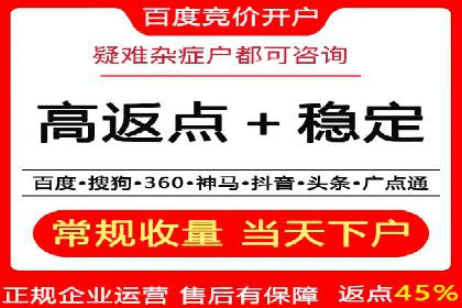 实战经验：竞价推广公司成功案例解析