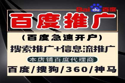 案例解读：SEM托管助力电商销售增长